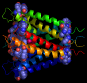 Side view of the potassium channel with the aromatic residues highlighted, 
 all of which are located at the peptide-lipid interface