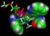 An image of an adduct formed between tryptophan and a lipid, obtained by molecular modelling