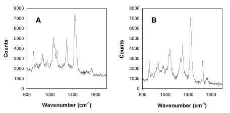 Raman spectra obtained from single liposomes of DMPC or DOPC