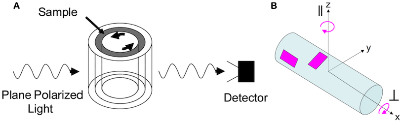 Schematic of a couette cell and shear-deformed liposomes