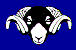 The Yorkshire Dales emblem: the head of a Swaledale sheep, complete with horns