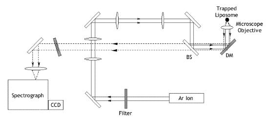 Experimental setup of Raman tweezers