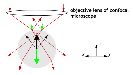 Simple diagram showing the principles behind laser tweezing