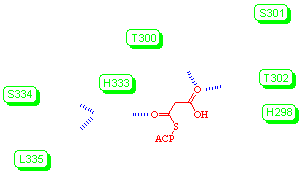 the malonyl-acp binding site